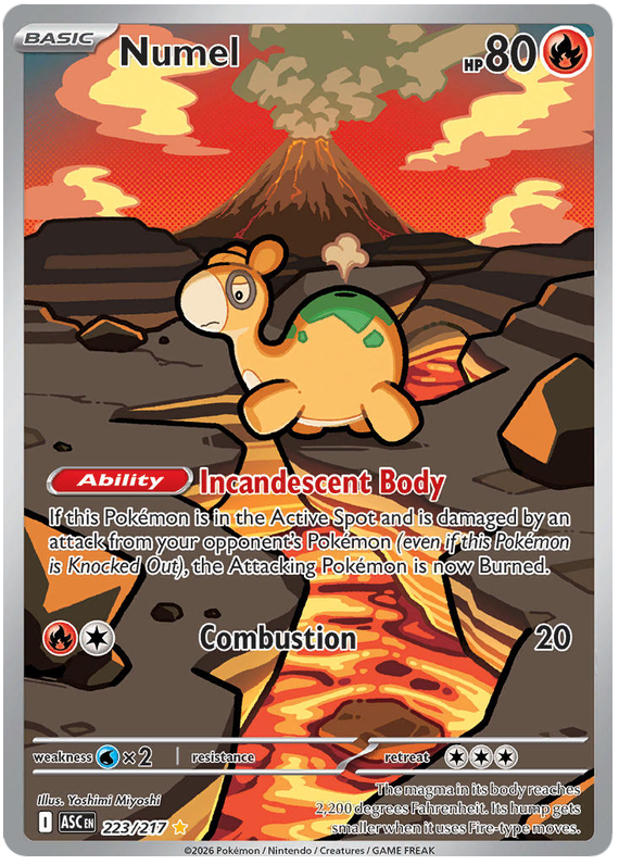 Numel - Ascended Heroes - 223/217