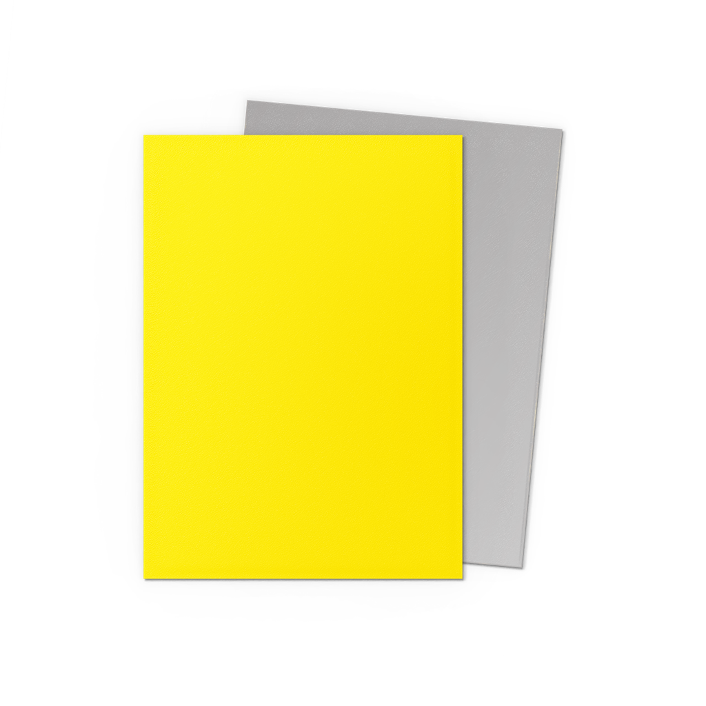 SLEEVES DS Matte Dual - Yellow & Silver (100)