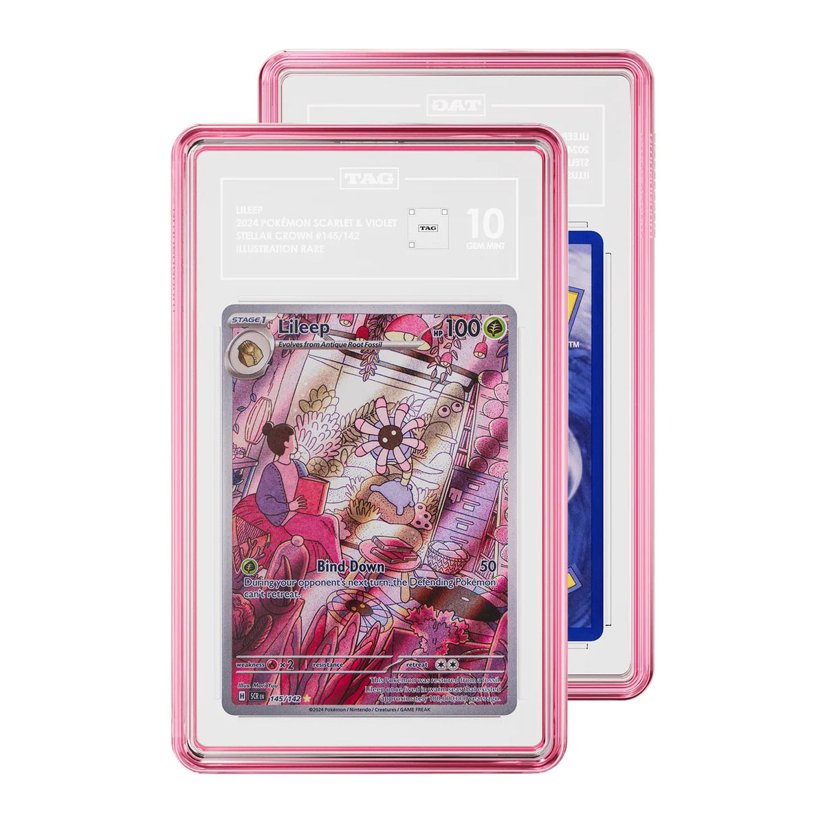 GradedGuard - Slab Protector - TAG - Rose Quartz (Jewel Case)