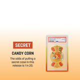 GradedGuard - Slab Protector - PSA - Trick or Treat