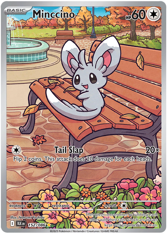 Minccino - Black Bolt - 152/086
