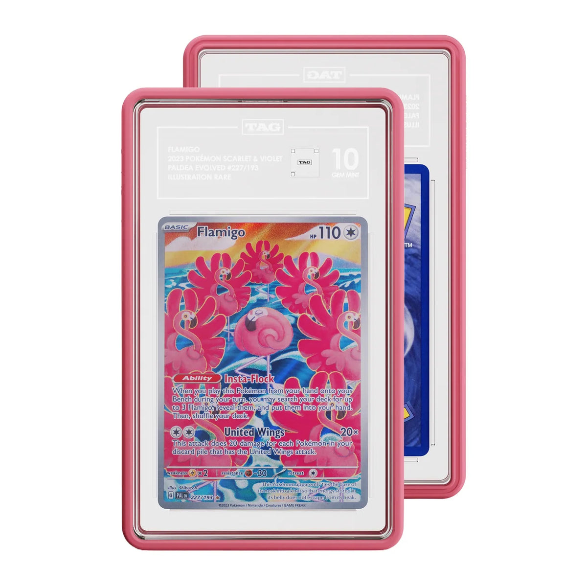 GradedGuard - Slab Protector - TAG - Pink