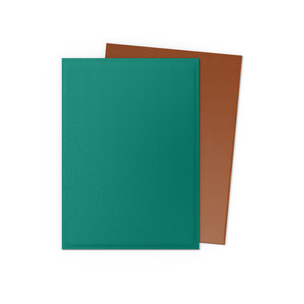 SLEEVES DS Matte Dual - Power Copper (100)