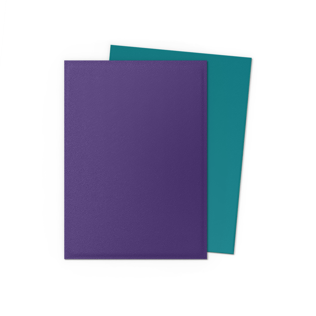 SLEEVES DS Matte Dual - Soul Petrol (100)