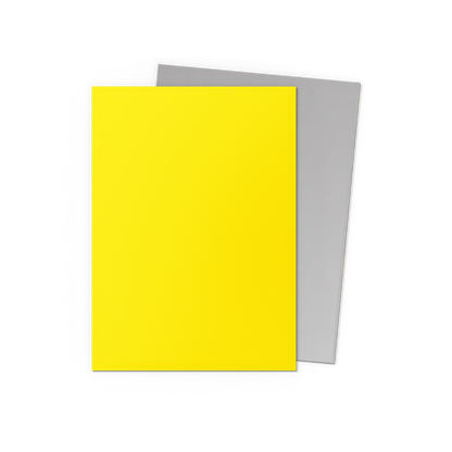 SLEEVES DS Matte Dual - Jaune & Argent (100)