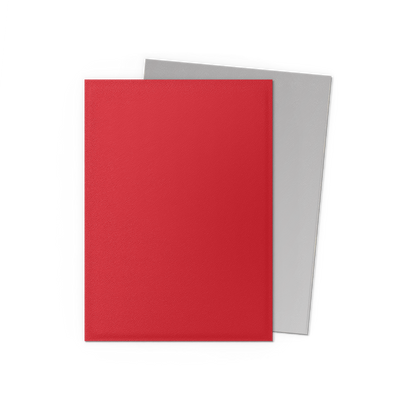 PROTÈGE-CARTES DS Matte Dual - Crimson & Silver (100)