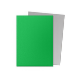 SLEEVES DS Matte Dual - Apple Green & Silver (100)