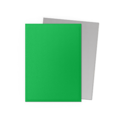 SLEEVES DS Matte Dual - Apple Green & Silver (100)