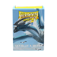 Hüllen DS Matte Dual - Sky Blue & Silver (100)