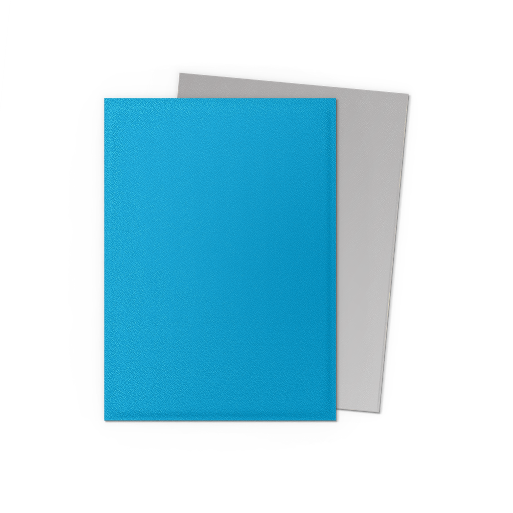 SLEEVES DS Mat Dual - Bleu Ciel & Argent (100)