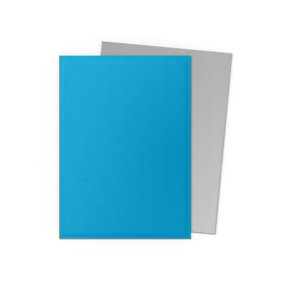 SLEEVES DS Mat Dual - Bleu Ciel & Argent (100)
