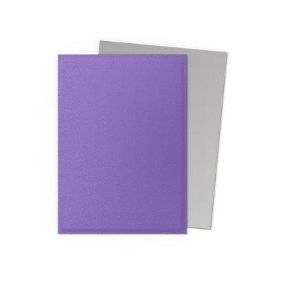 PROTÈGE-CARTES DS Matte Dual - Nébuleuse & Argent (100)
