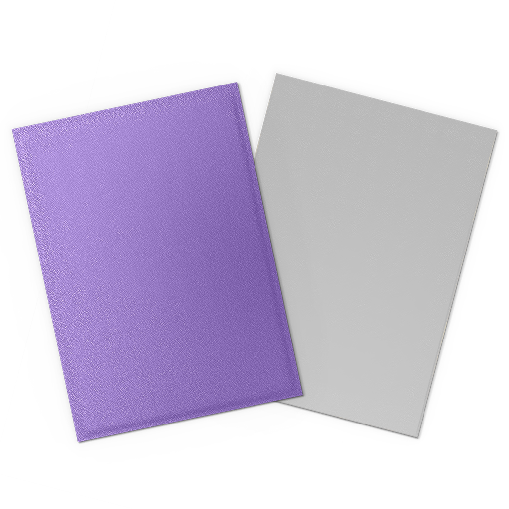 PROTÈGE-CARTES DS Matte Dual - Nébuleuse & Argent (100)