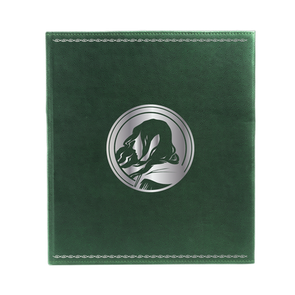 Dungeons & Dragons Artifacts Across Eternities: Drizzt & the Forgotten Realms Premium Dungeon Master's Screen