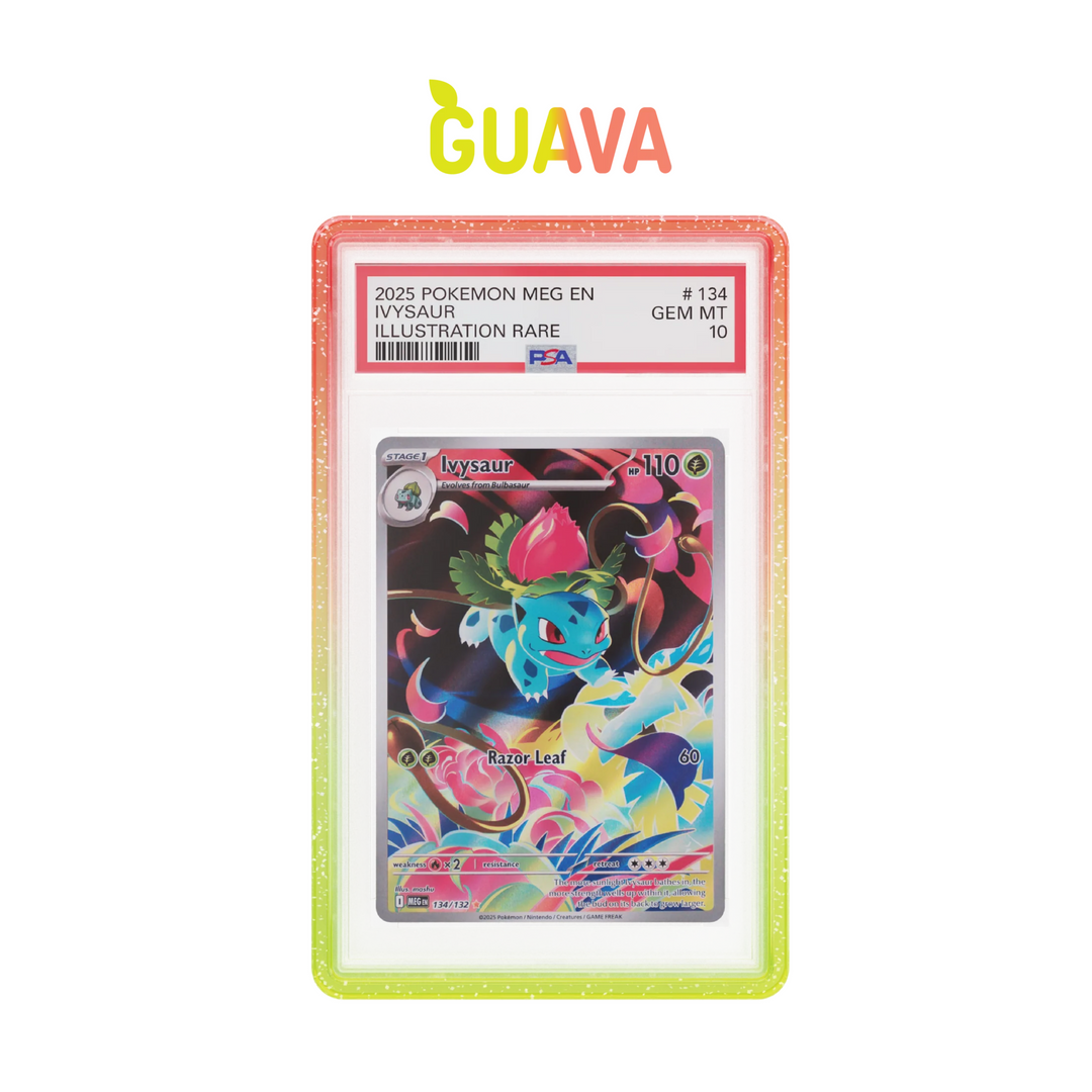 GradedGuard - Slab Protector - PSA - Guava (Limited Edition)