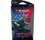Forgotten Realms Theme Booster Pack
